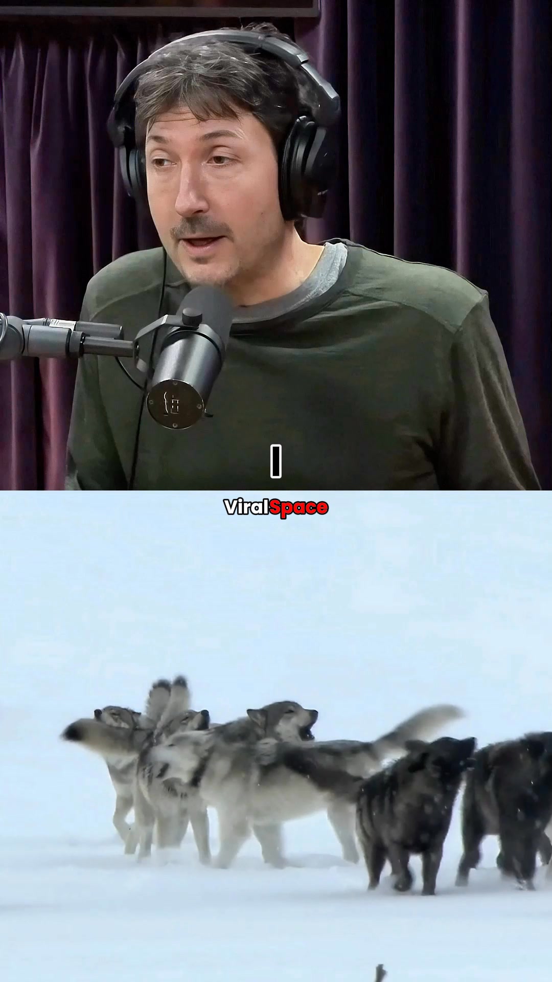 Surviving a Pack of 20 Wolves | ViralSpace | Facebook