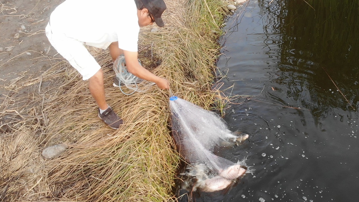 Este hombre tira la tarraya al agua y mire lo que saca | Este hombre ...