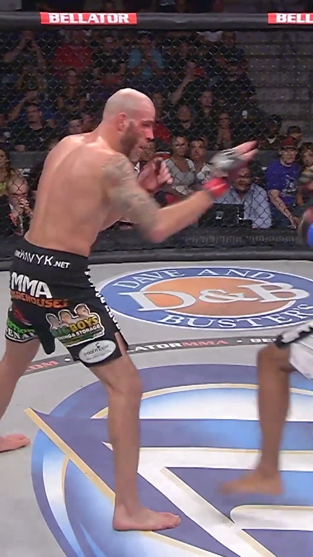 Bellator MMA (@BellatorMMA) • Facebook