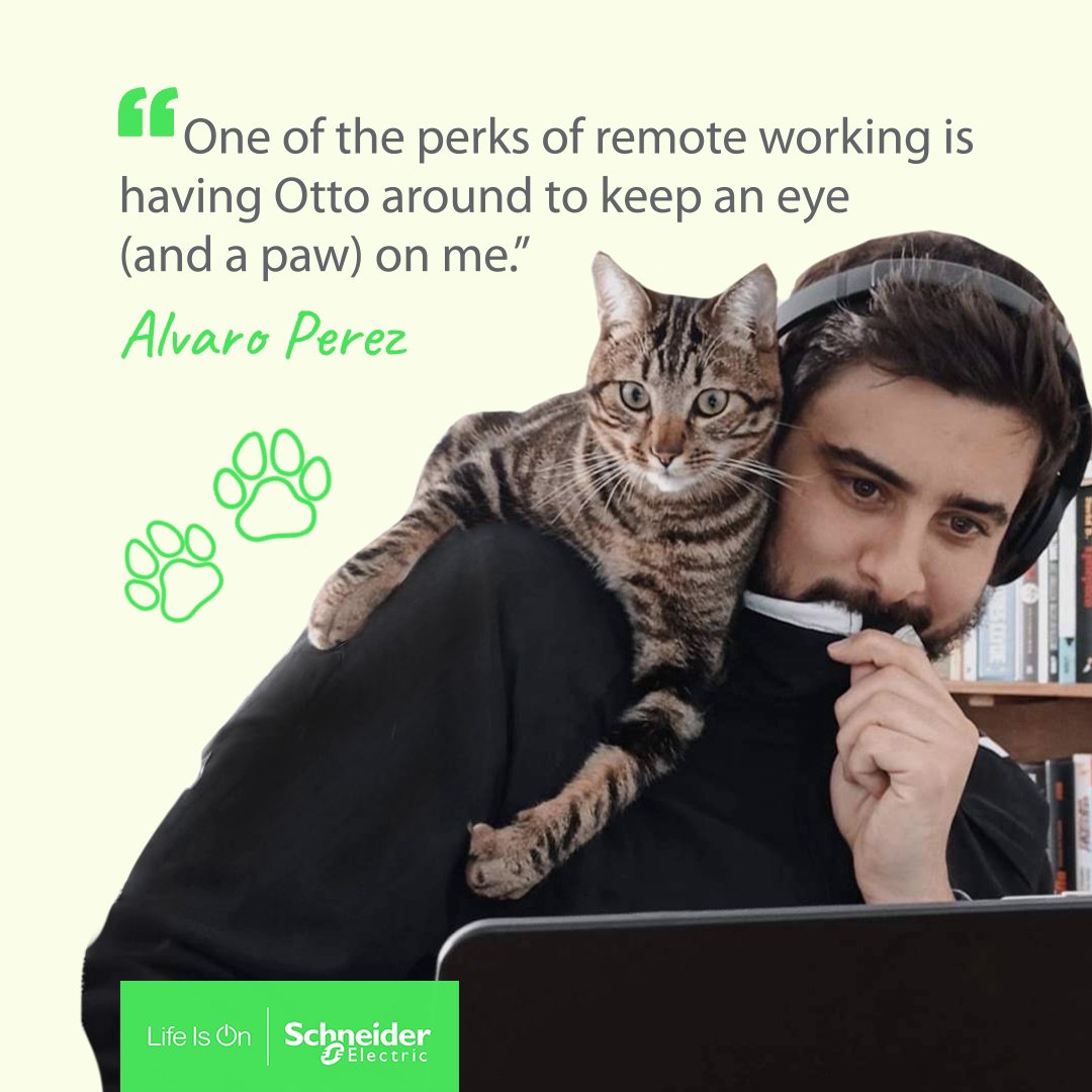 Our #SEGreatPeople create the purr-fect work-life balance. 🐈 Share a ...