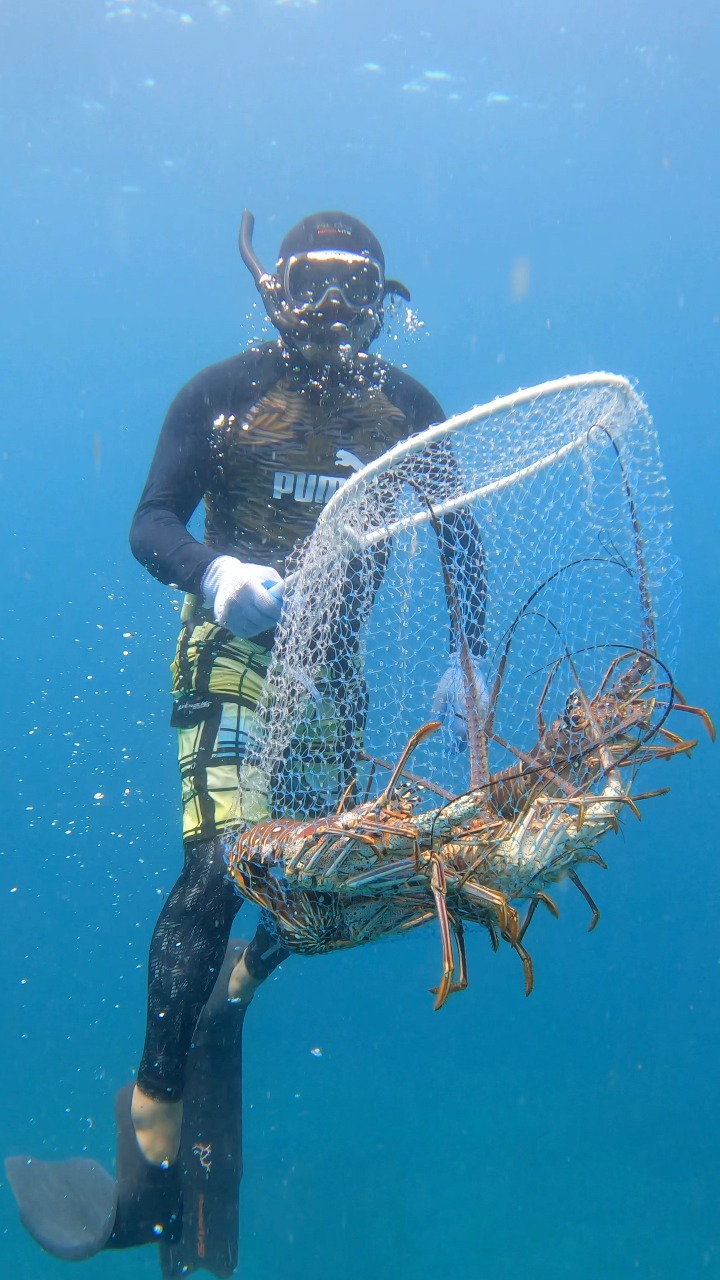 Professional lobster fisherman! 🦞 | Eliam Fishing Mx | Facebook