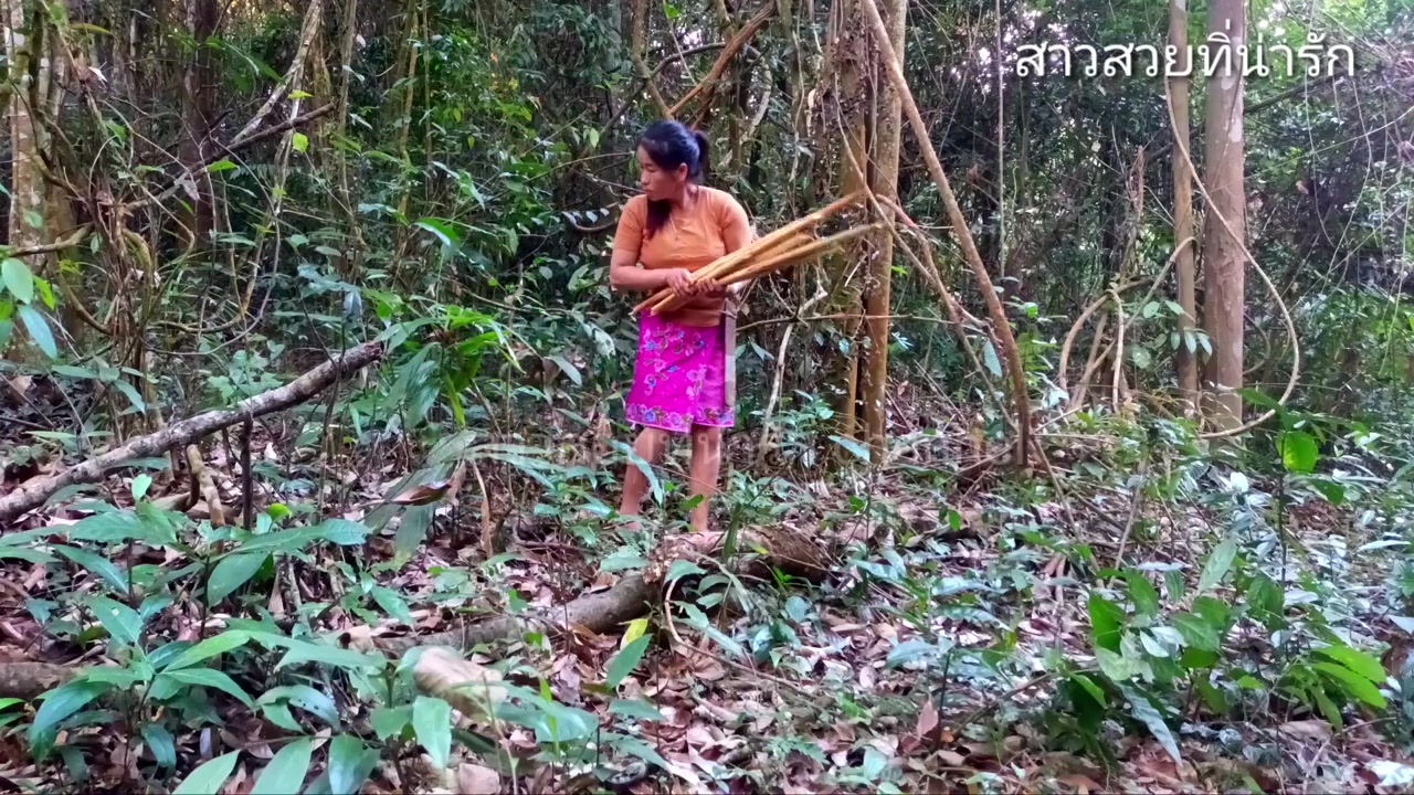 Jia Amalia Reels