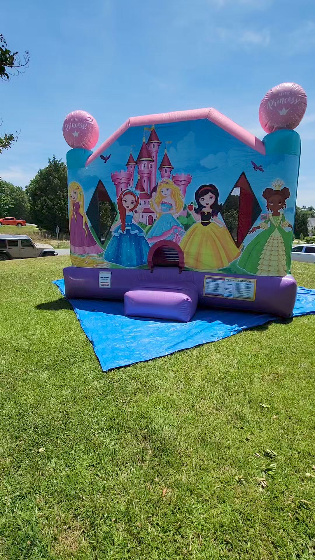 Pryor Party Inflatables & Supplies, LLC | Raleigh NC