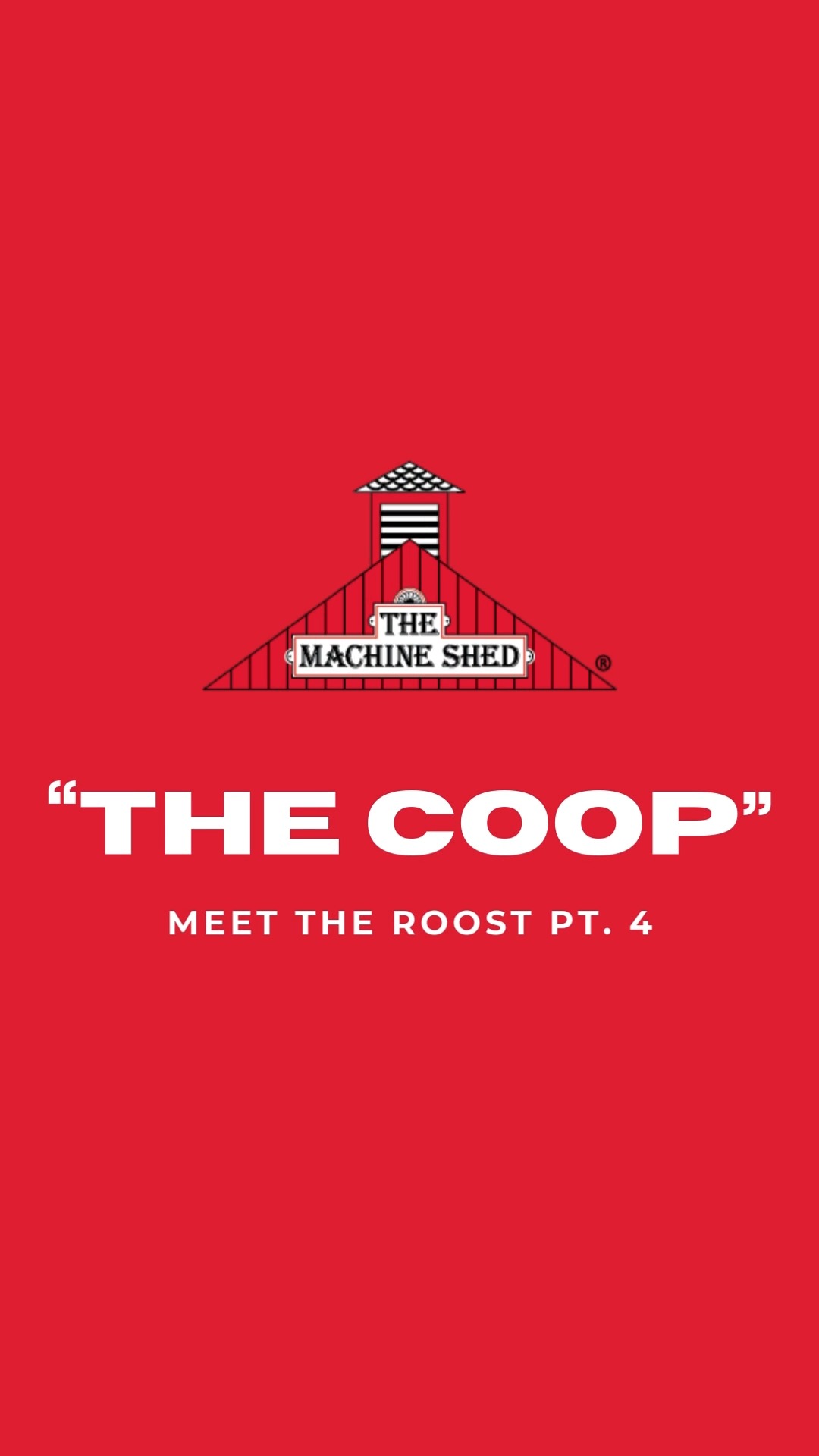 🐔 The Coop: Part 4 – Meet Benjamin & Papa Mike This duo brings charm ...