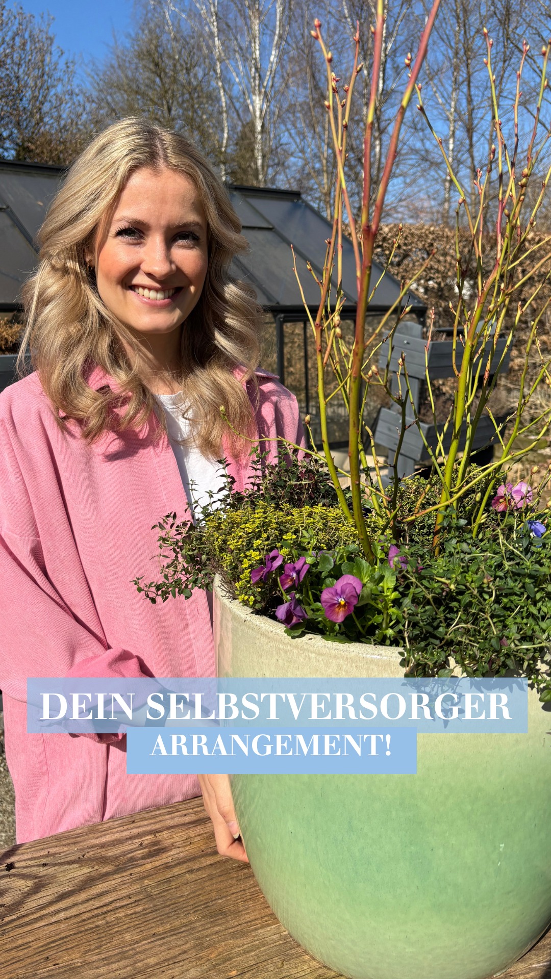 Selbstversorgung leicht gemacht! 😎 Mit einem großen Topf, Blähton & guter Erde legst Du den Grundstein für Deine eigene Mini-Ernte auf Balkon oder Terrasse. 🌱 Heidelbeeren oder Zwergobst in die Mitte,