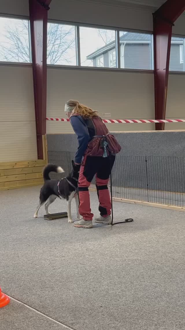 Vil du og trene med en gjeng som blir hoppende glad både når en selv og ...