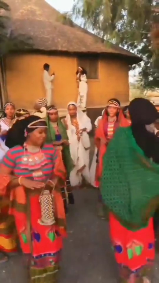 A celebration of heritage and rhythm — the vibrant cultural dance of ...