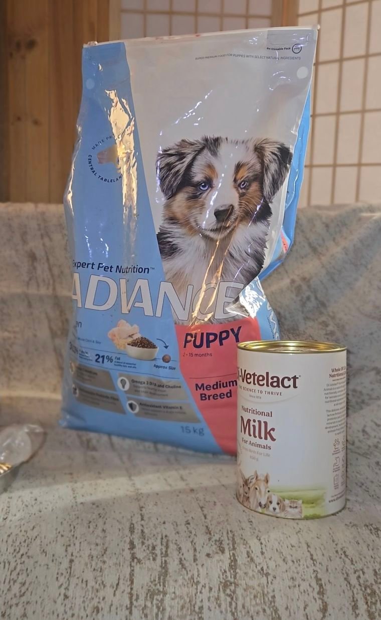 l-carnitine in puppy food Let's talk about – a powerful ingredient found our that plays a vital role in your little one's development. 🌱⁠ ⁠ L-carnitine is not just any ordinary component carnitine concentration make it B12 shots Services| AZ OxyShred EHPlabs (Flavour):Pink Grapefruit L-glutamine