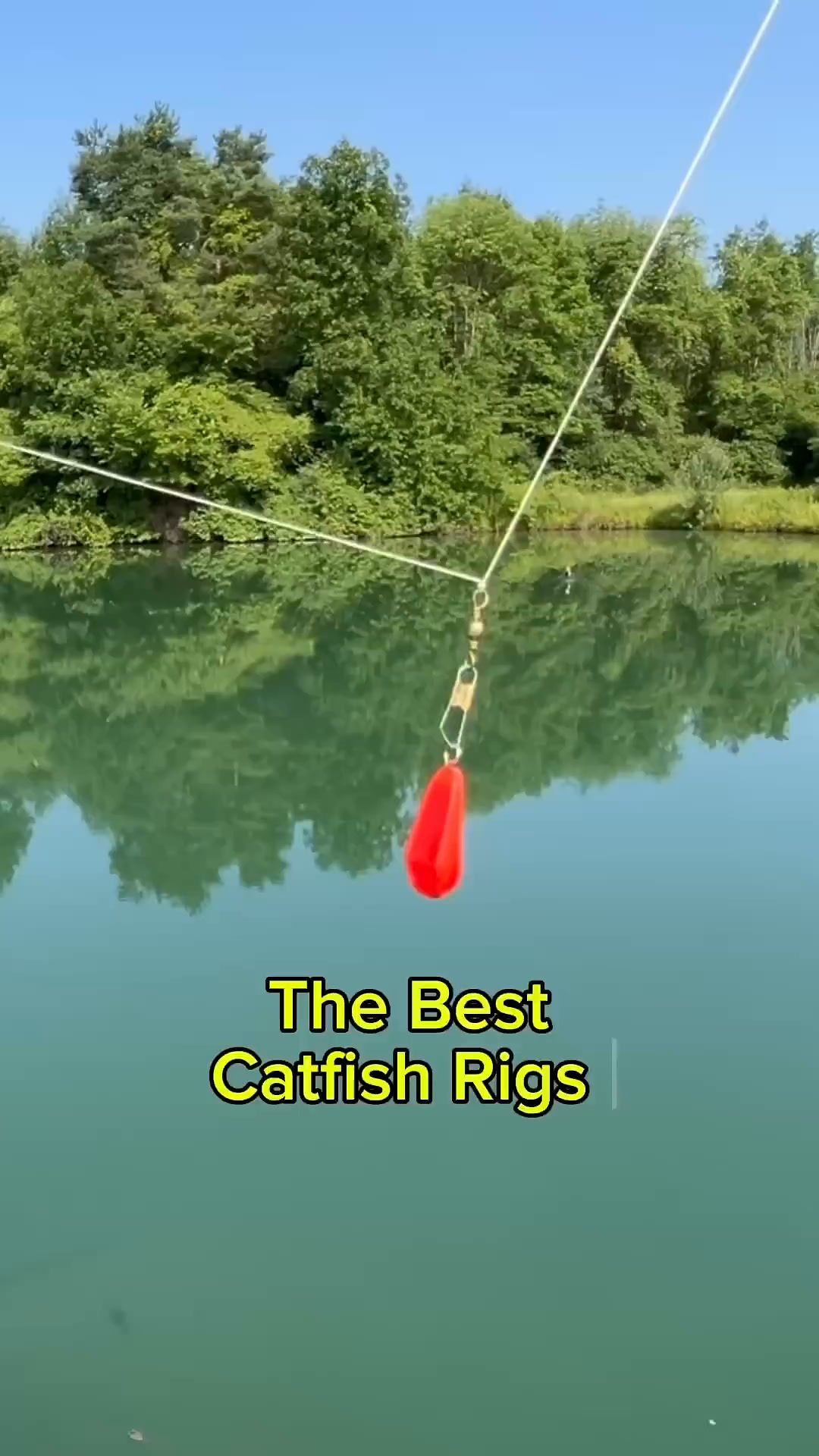 The BEST Catfish Rigs For BANK Fishing!! 🎣 #shorts #fishing #278#viral ...