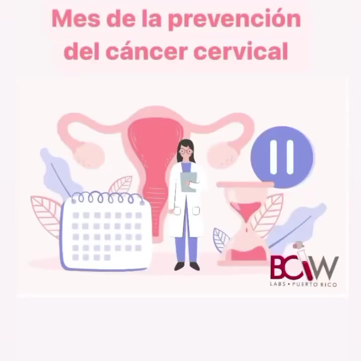 BCW Puerto Rico | Catano
