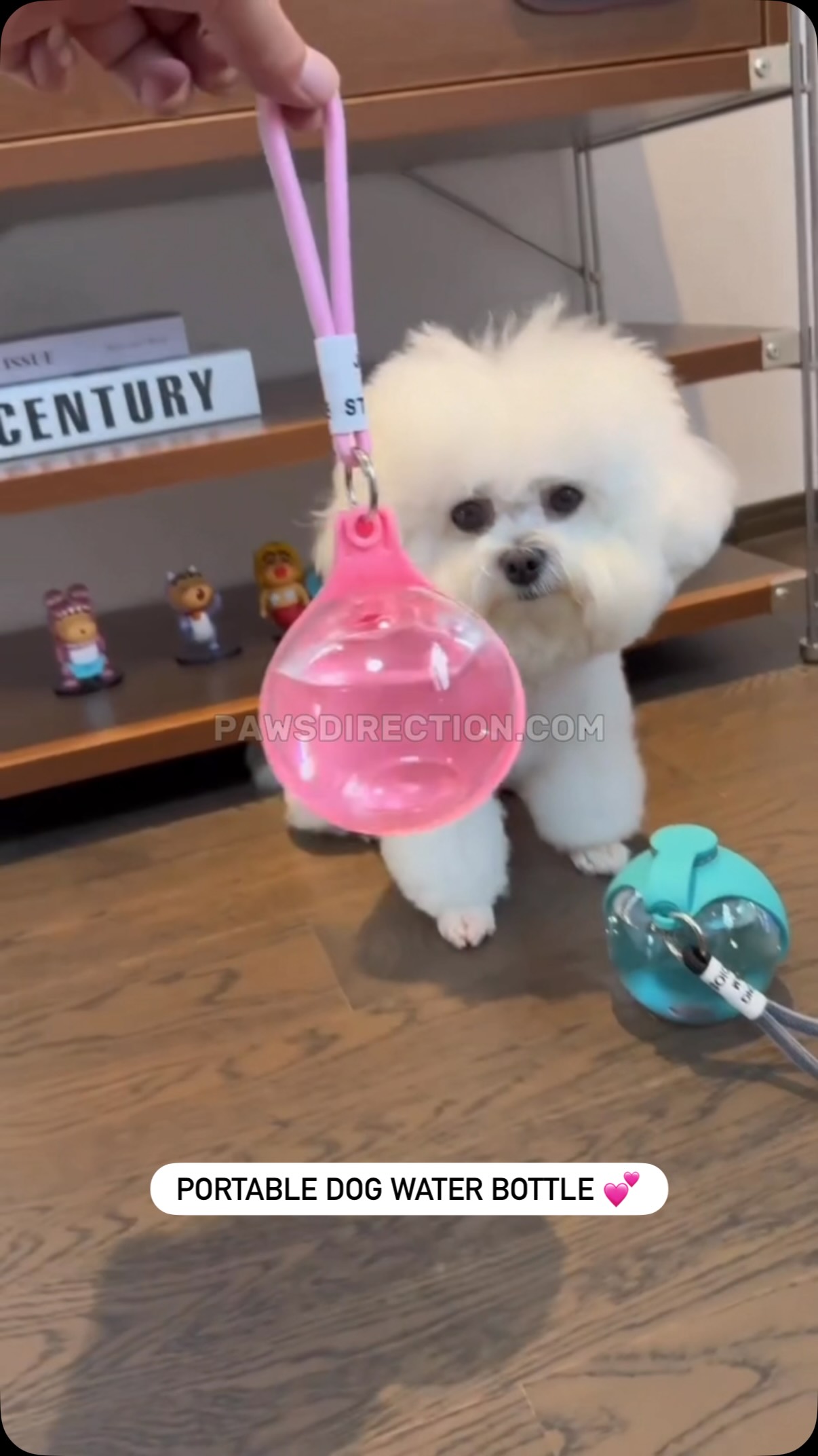 Make every walk and trip easier for your pup 🐾 The Portable Dog