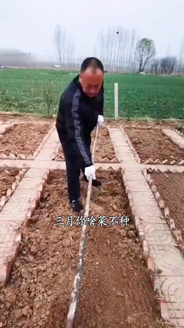 它富含豐富的營養物質和維生素，家里犄角旮旯都能種 | 美术工坊 | Facebook
