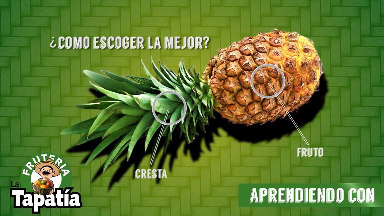 Aprendiendo con la Tapatia: ¿Cómo escoger la mejor piña miel? | ¡En La ...