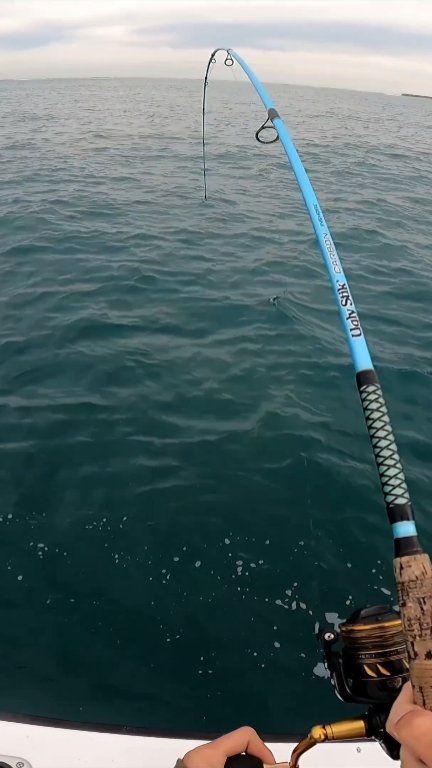 1 rod 1 reel fishing stubed luers Lew's Cat Smash Spinning and Combo, 7-Foot 2-Inch 1-Piece IM6 Graphite Fishing Rod, Right or Left-Hand Retrieve, Red : Sports & Outdoors The Lew’s MACH 1 Spinning Combo combines smooth power Big One on the Ugly