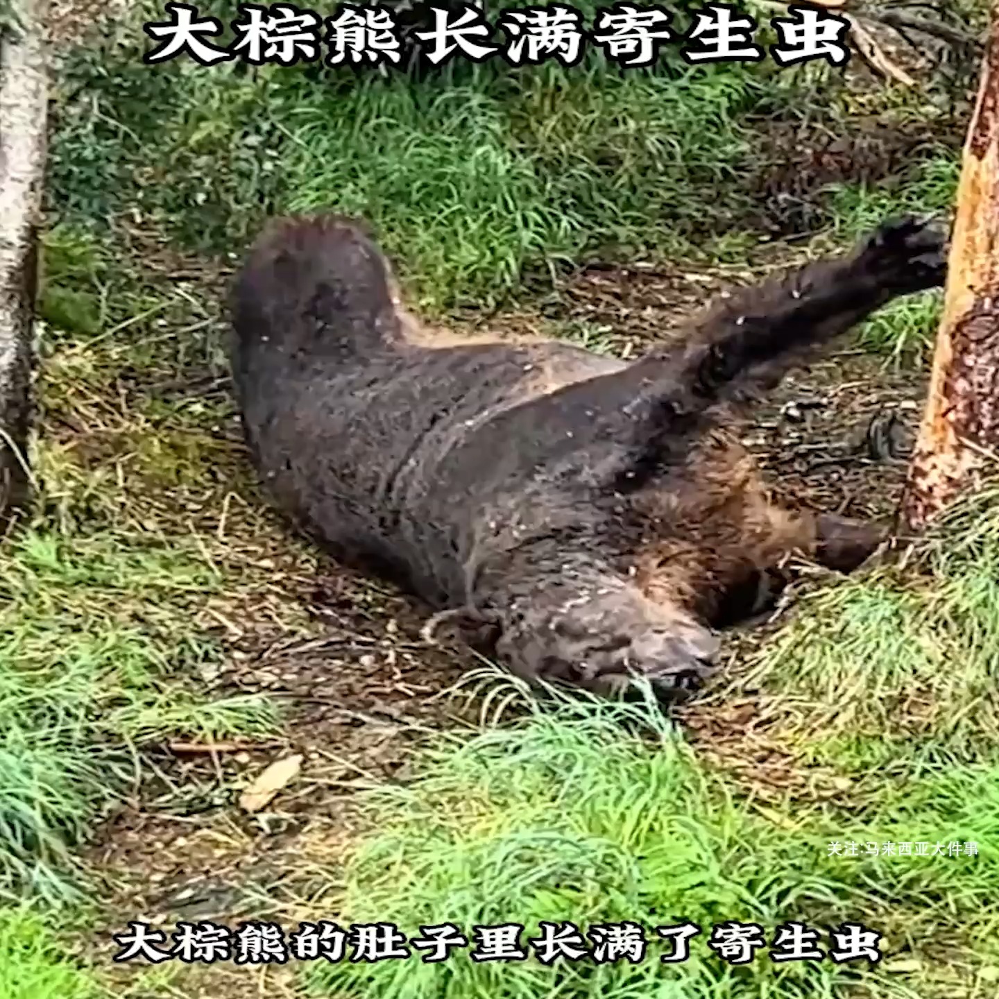 当時のメディア報道・掲載写真