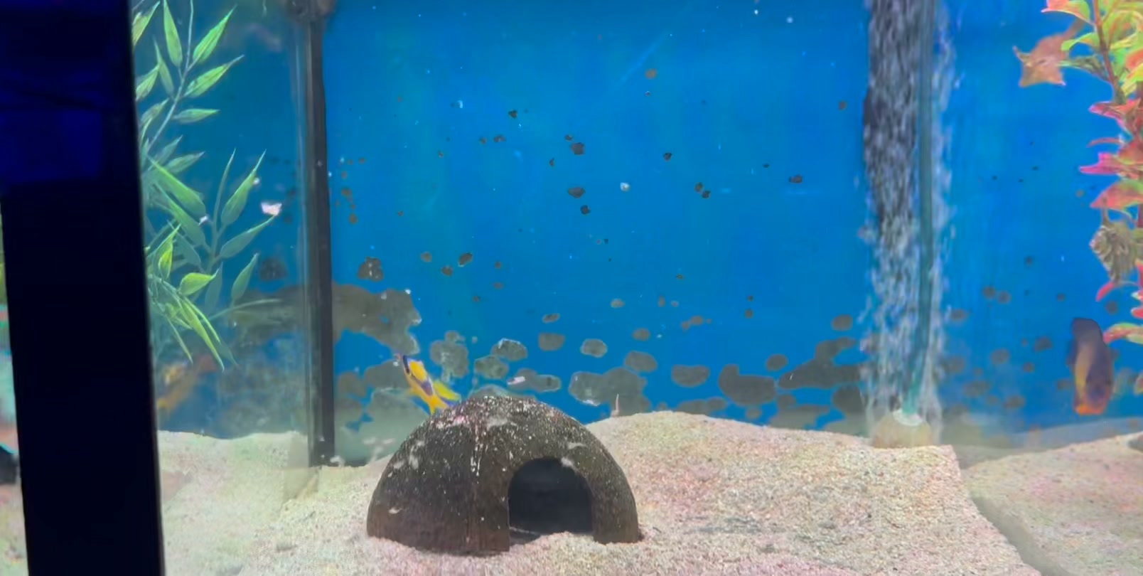 fish tanks accessories stockport 3D Aquarium Displays or Touch Ponds  DAS I have a very large