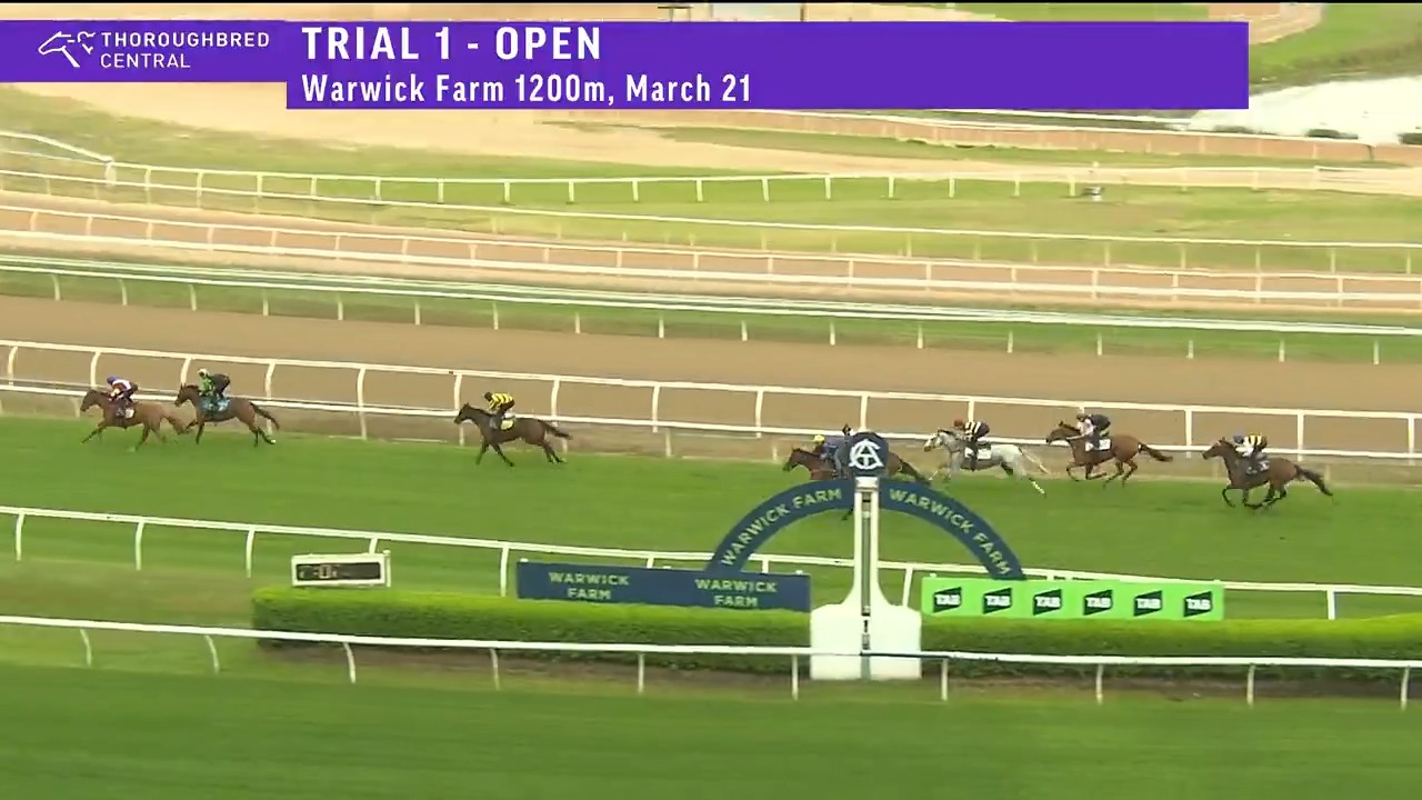 Randwick Guineas winner Linebacker given a good workout by Zac Lloyd to ...