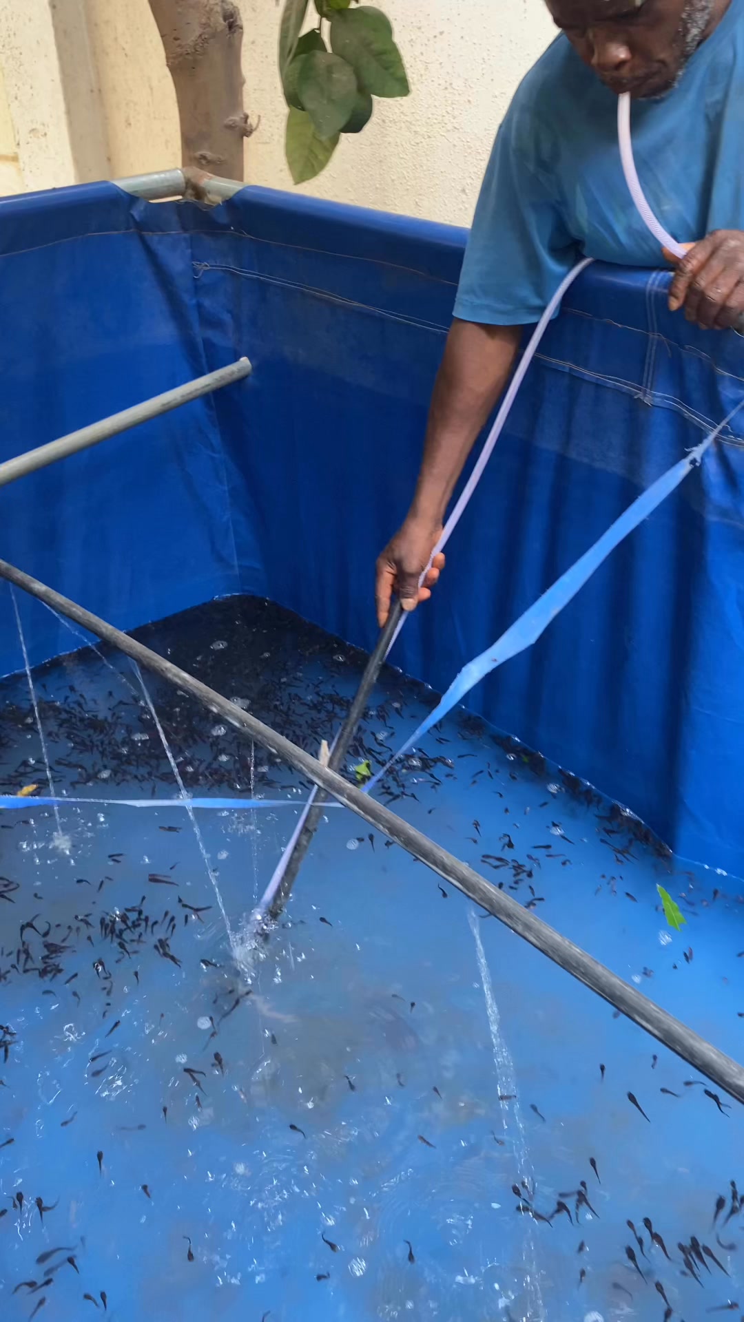 Kindness Fish Farm & General Services on Reels | Facebook