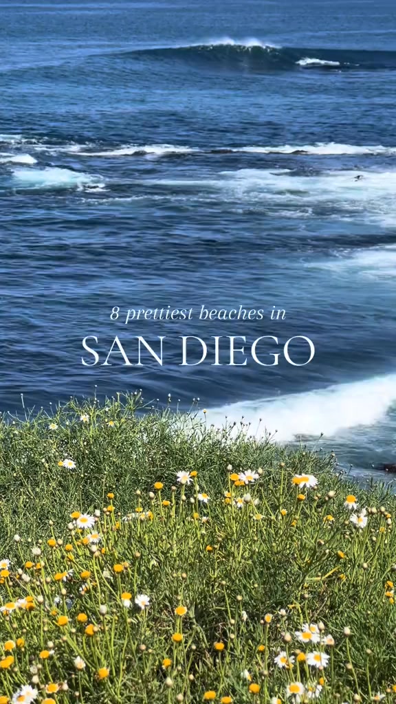 SanDiego.com (@MySanDiego) • Facebook