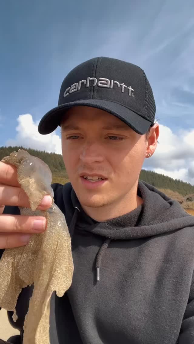 Jacob Colvin - What do jellyfish taste like? #animals... | Facebook