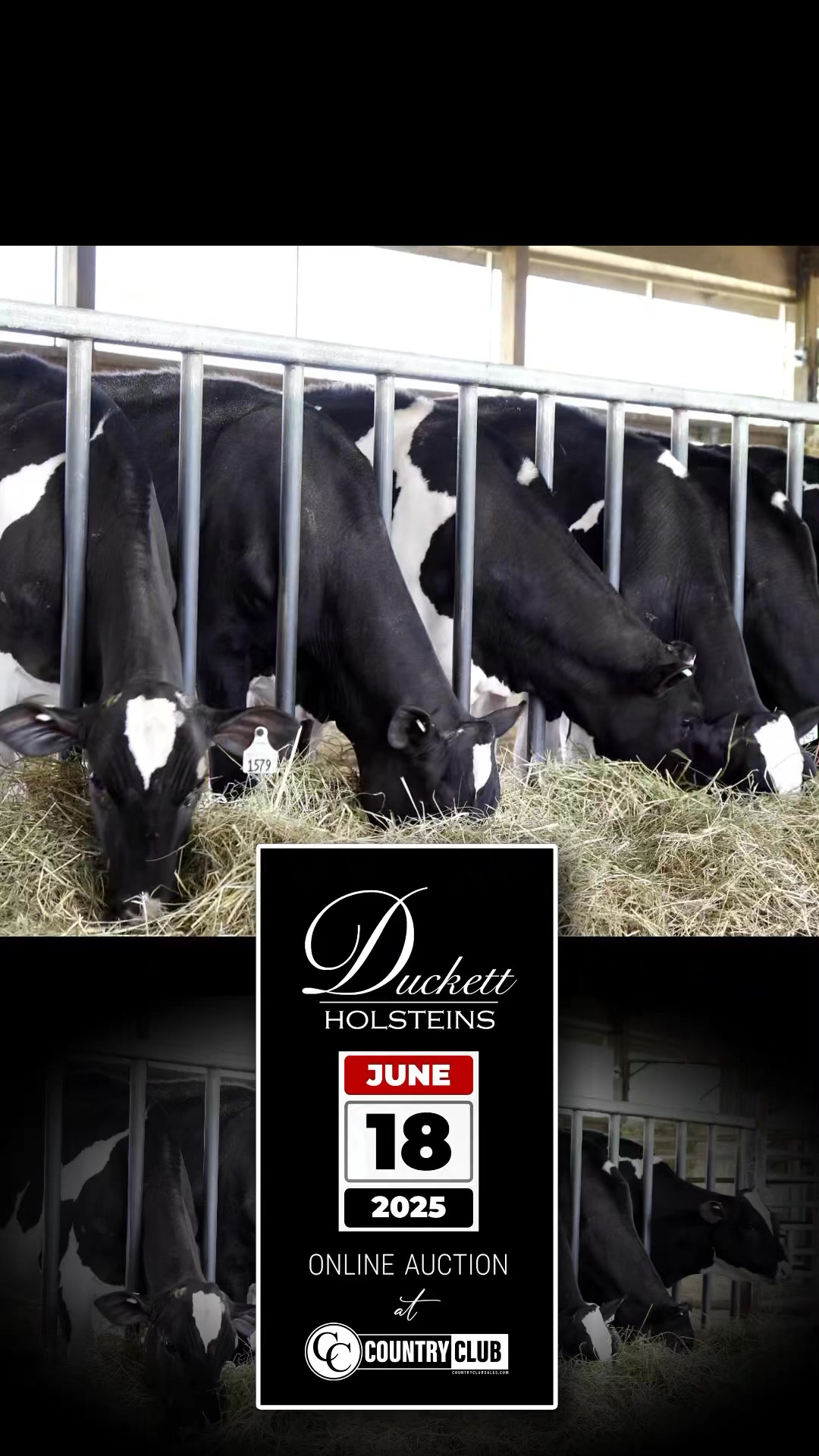 It may be just a small 60 cow tie stall barn to some, but it’s much ...