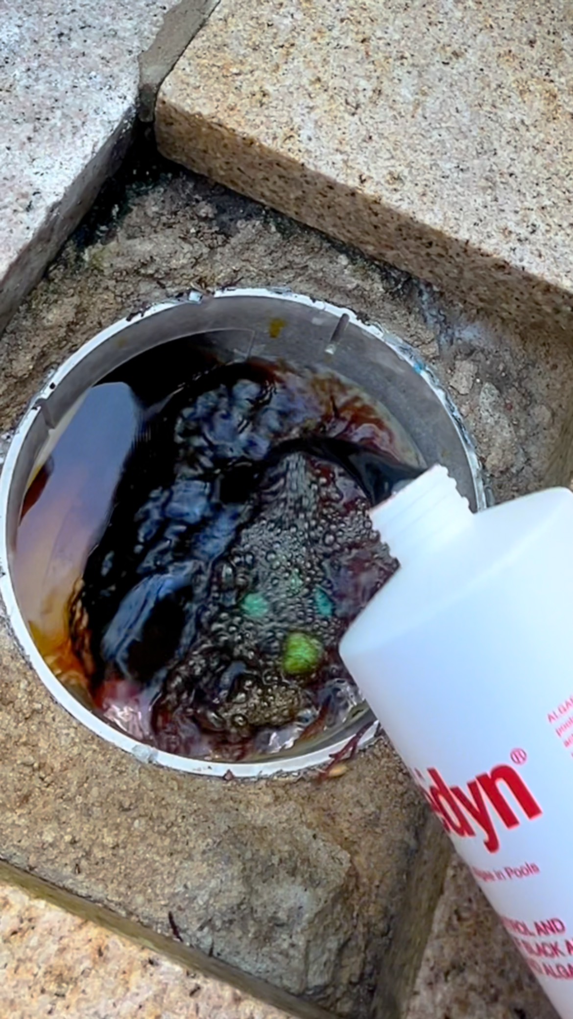 The Pool water was BRIGHT ORANGE 🧡💀 From metal stains to algae sludge ...