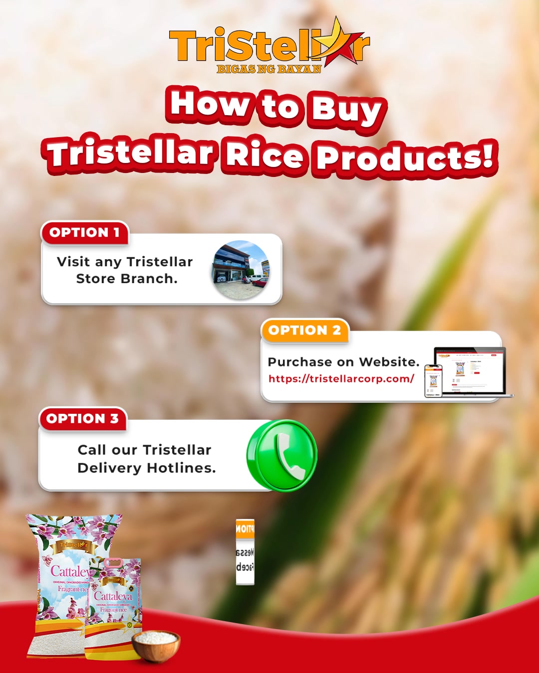 Tristellar Trece Martires Warehouse | Trece Martires