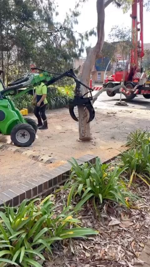 Ideal tree services 0418293951