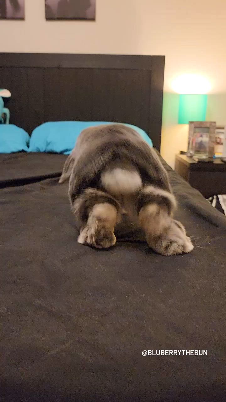 It's FRIDAY!! Time to BiNkY into the weekend like a bunny who's heard ...