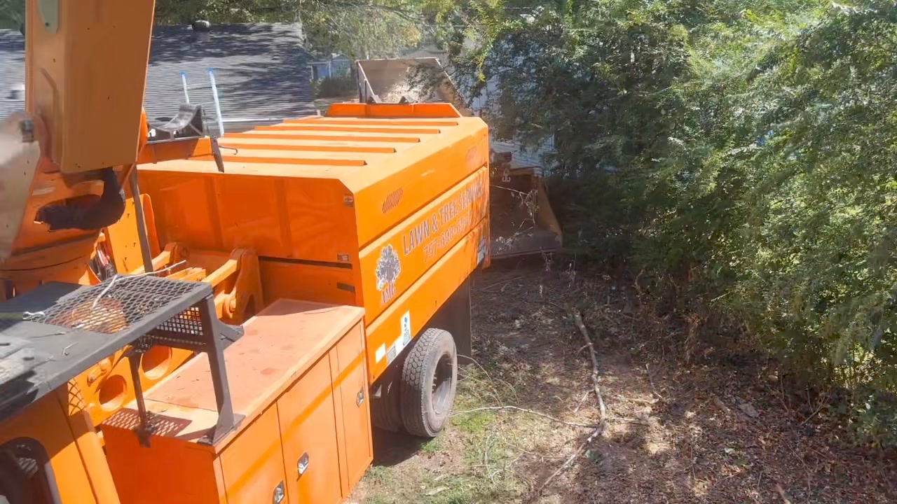 Amg Lawn & Tree Services
