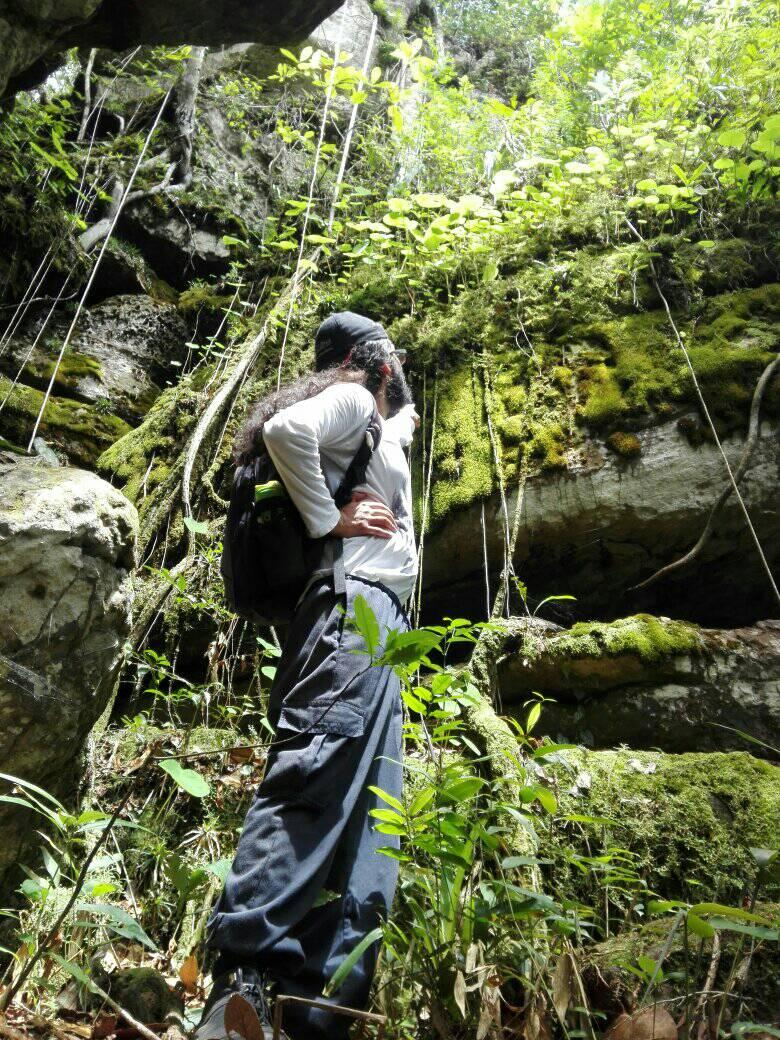Novatax_Col - #Nuevaespecie #mamíferoscolombia Coendou vossi: nueva ...
