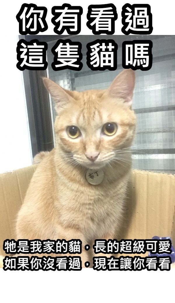 信義區三兩事 | #福德涼麵 永吉路30巷79號 營業時間： am10 ~pm10 慶開幕🎊：吃涼麵送味噌湯 （活動10天） | Facebook