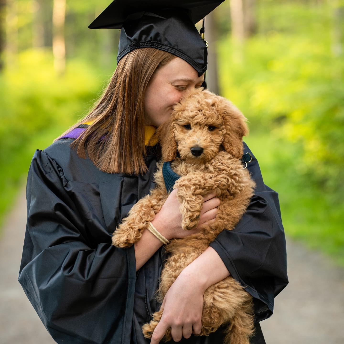 Shutterfly Promo Codes Free Shipping 50% OFF | Facebook