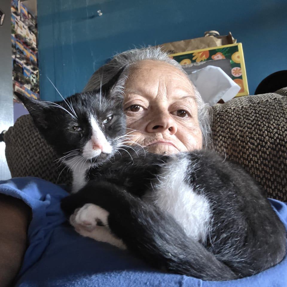 Valencia County News and Views | I'm looking for a low cost spay clinic ...