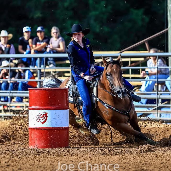 Josie Jones FCSP Sweetheart | Vicki Tabb
