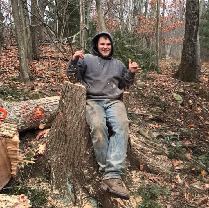 SULLIVAN COUNTY POST | Looking for someone to come and cut a tree down ...
