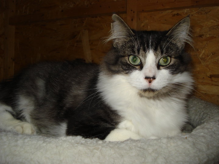 Was there last week and didn't see qualicat litter. Has it been ...