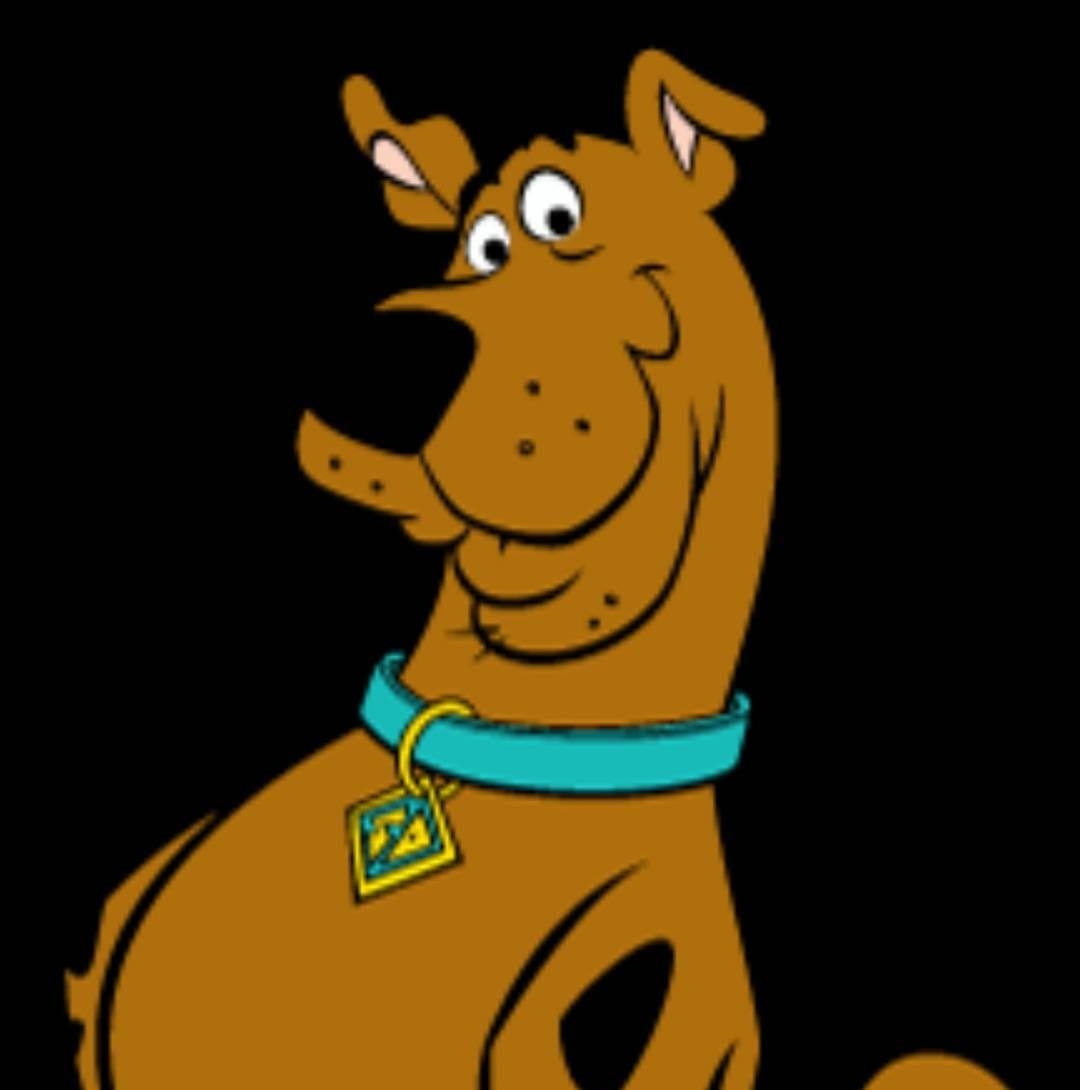 Come down have some fun Ruh Roh music | James McNicholas III