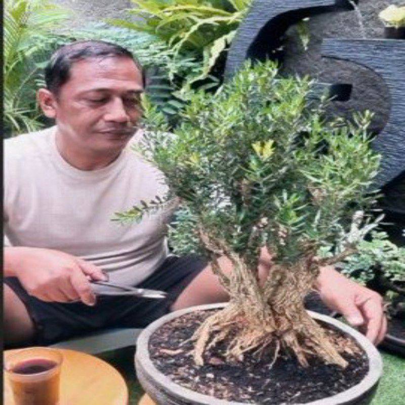 Yang mau samaan tripod yang bisa muter otomatis 360, derajat cek di ...