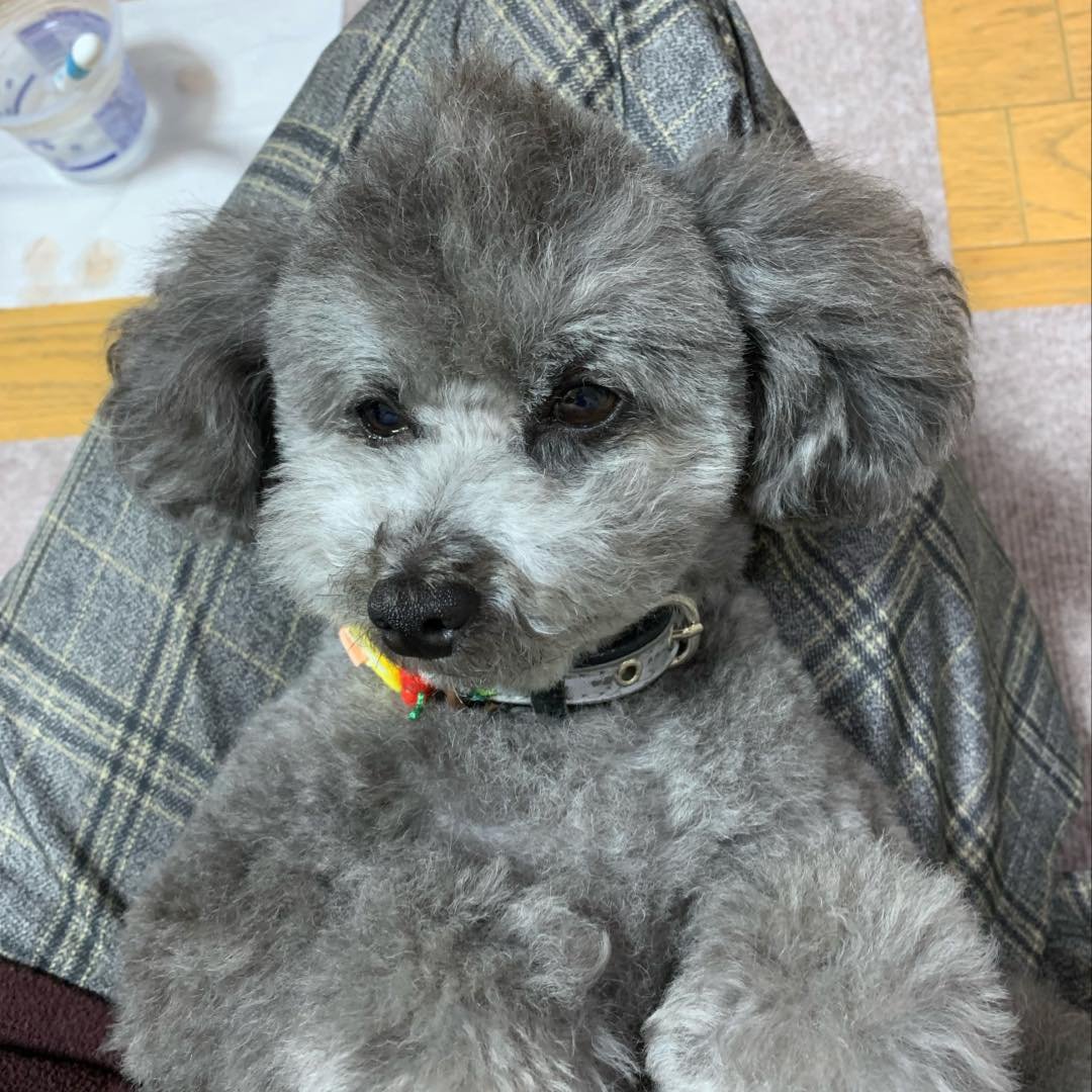 ウイスキー友の会@Facebook | 久々に寄らせて貰った酒屋さん・・・ | Facebook
