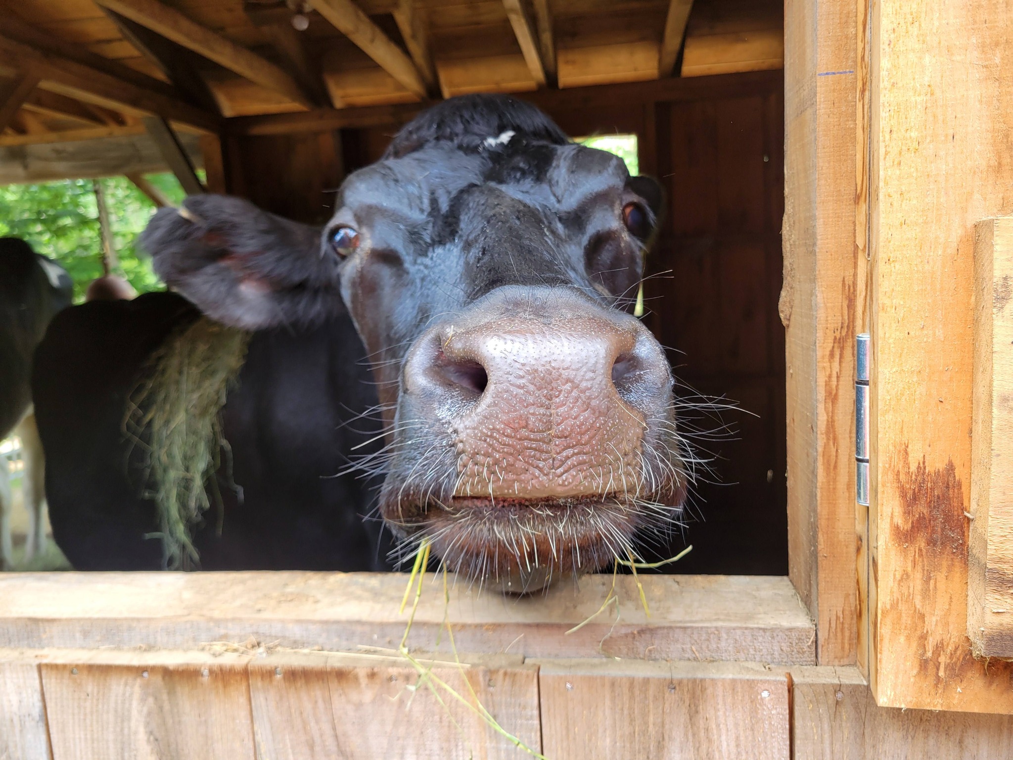 Rough Cut Farm | Rindge NH