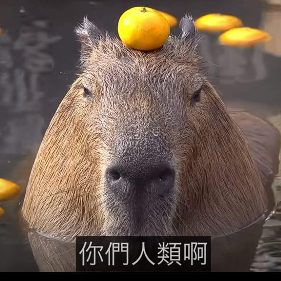 中國短劇吧 - 【#王皓禎 #短劇合集】 本來是演長劇的，轉演豎屏短劇 ※抖音中國版付費觀看，或在YT及B站搜尋。... | Facebook