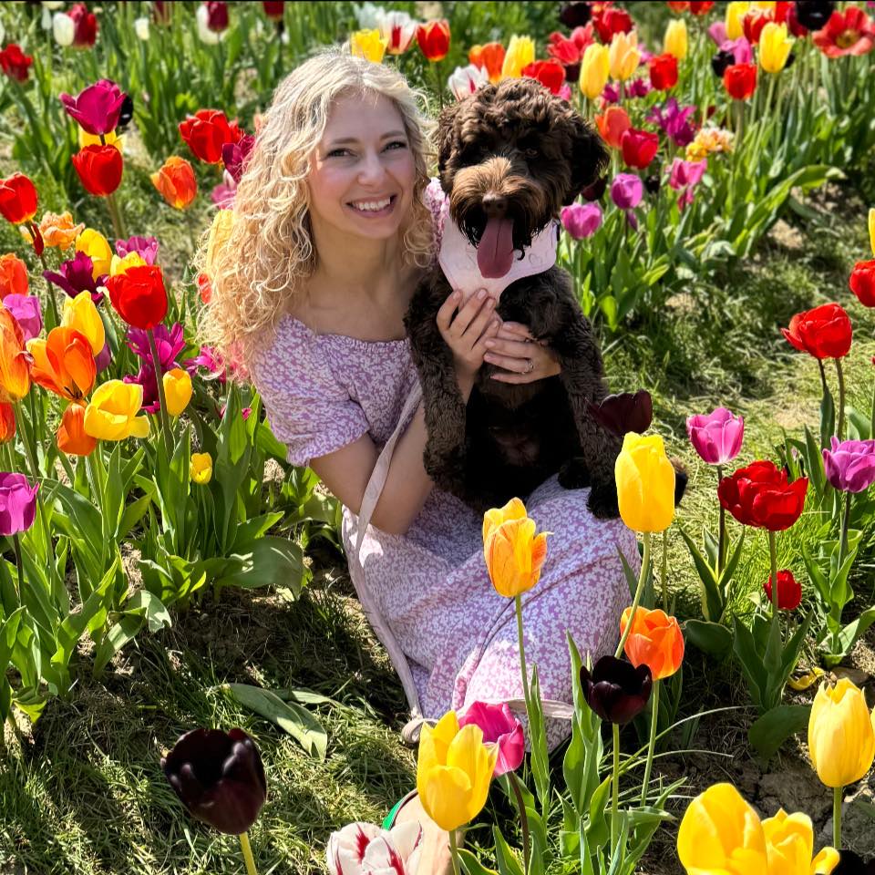 Cockapoo Owners | Anyone else's cockapoo love to just casually walk ...