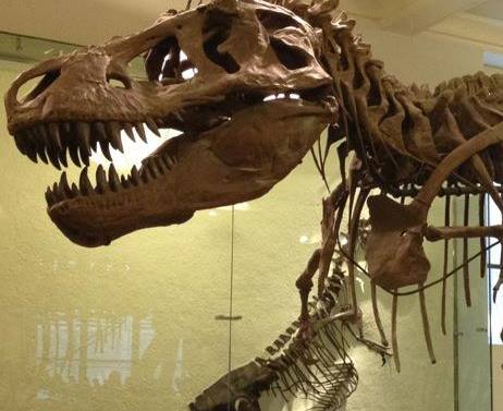 Charles R. Knight, Paleoartist | The Triceratops model created by ...