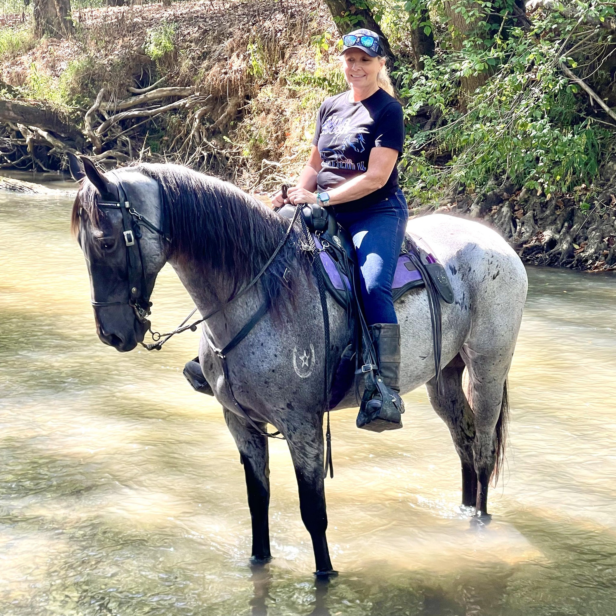 AR said if you don’t like them gentle, don’t call us. | Dustin Parham