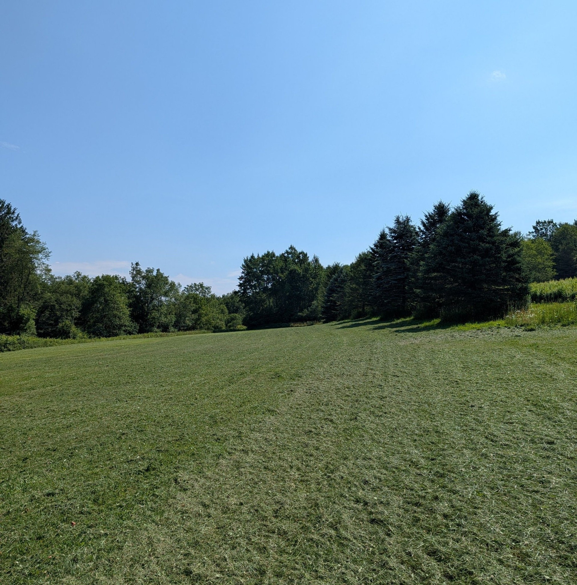 Wellsville, NY Community Group | I am looking for a repair man for my ...
