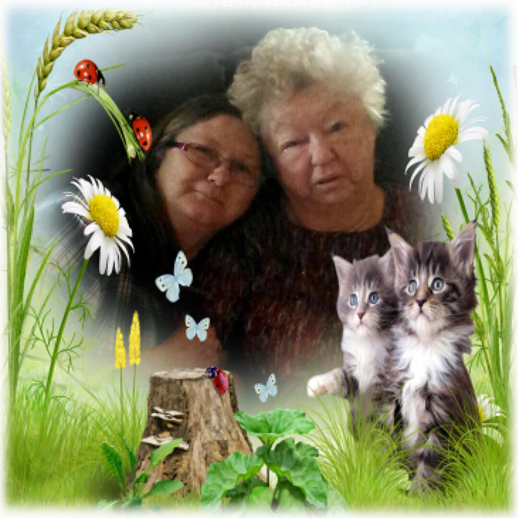 Joann Rader