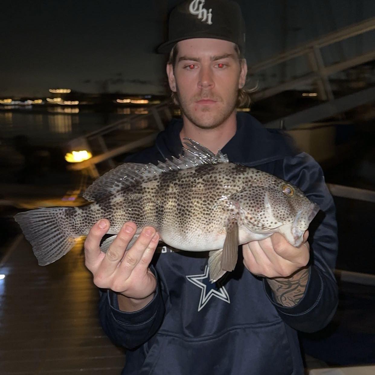 6lb calico a controversial Goat and a few cockroaches. Super clean ...