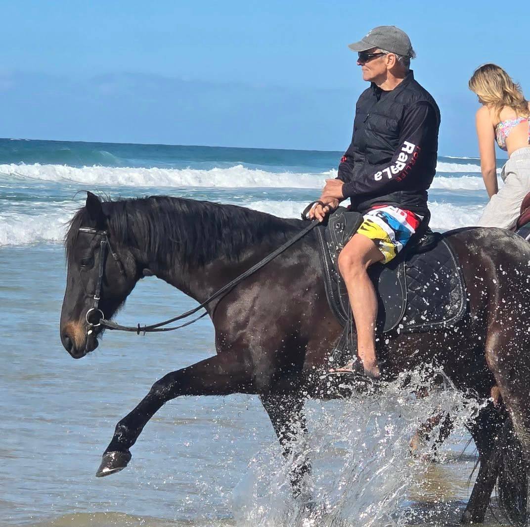 I follow the horses,but the horses I follow,follow other horses ...