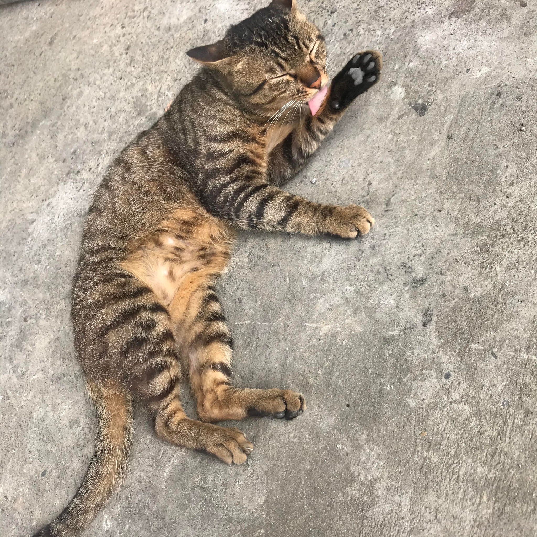 信義區三兩事 | 原松山路自助餐換成賣涼麵 | Facebook
